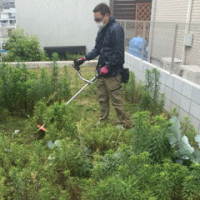 渋谷区草刈り